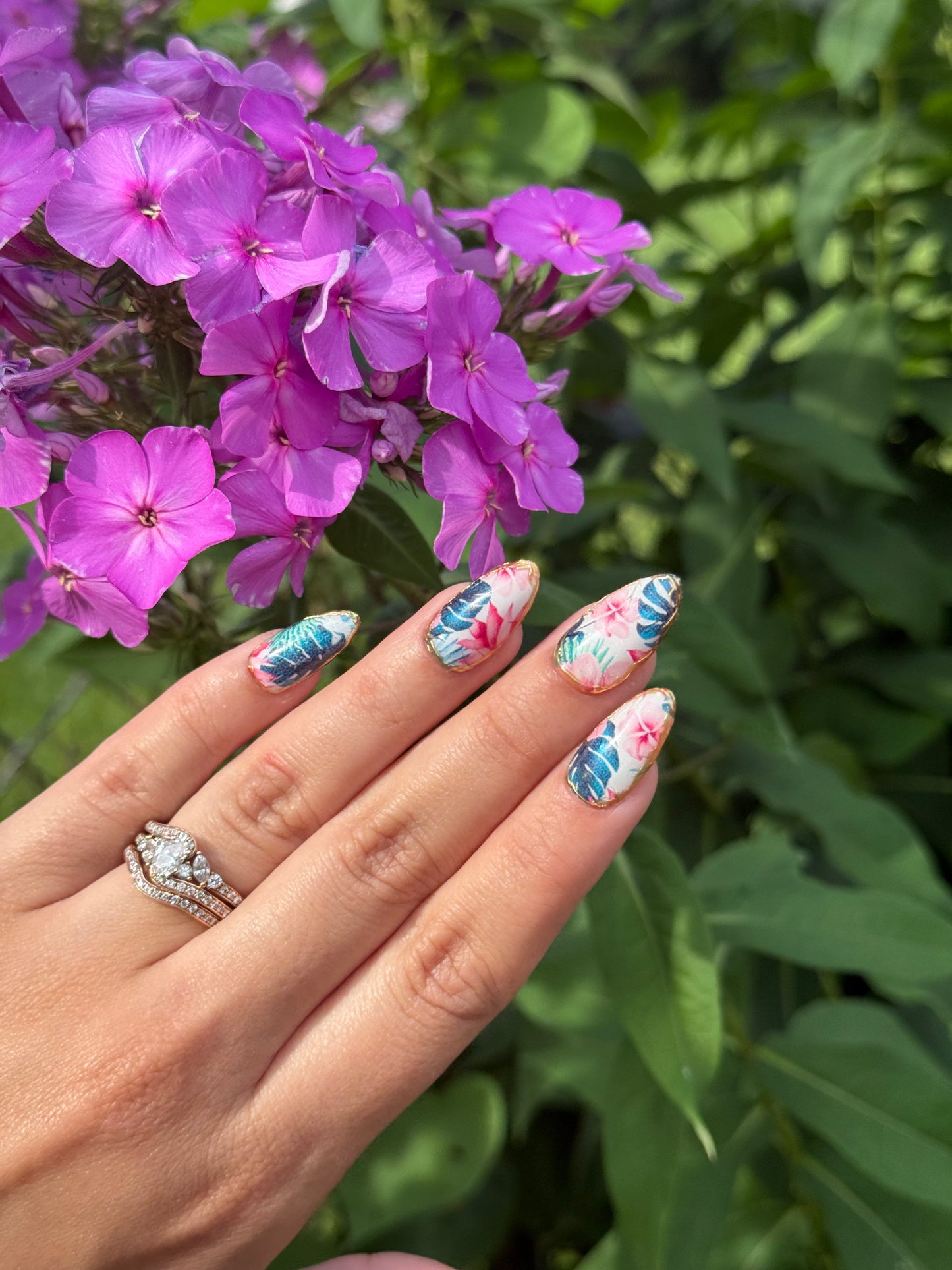 Tropical Bloom