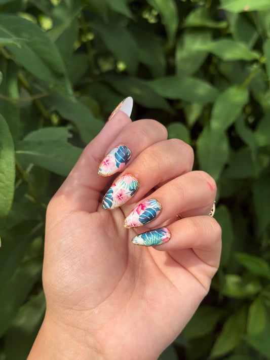 Tropical Bloom